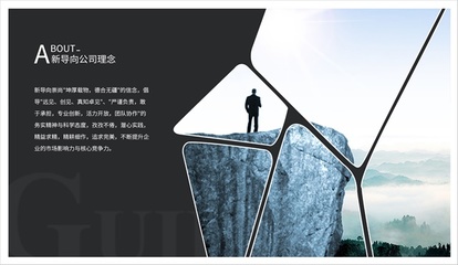 上海新導(dǎo)向品牌策劃 精準(zhǔn)定位，驅(qū)動(dòng)國(guó)內(nèi)貿(mào)易代理業(yè)務(wù)新增長(zhǎng)