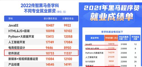 軟件開(kāi)發(fā)與軟件測(cè)試 如何選擇適合你的網(wǎng)絡(luò)技術(shù)服務(wù)職業(yè)道路？